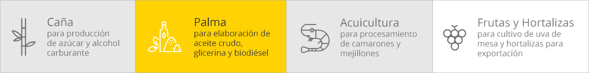 Image-PerfilCorpo