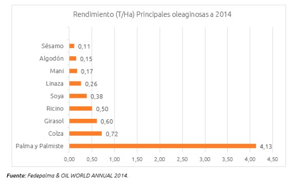 noticia_AceitedePalma_amigable_01