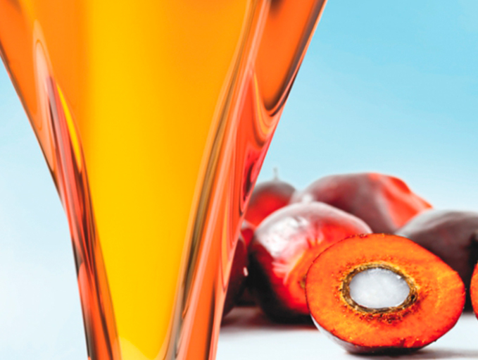 Aceite de palmiste