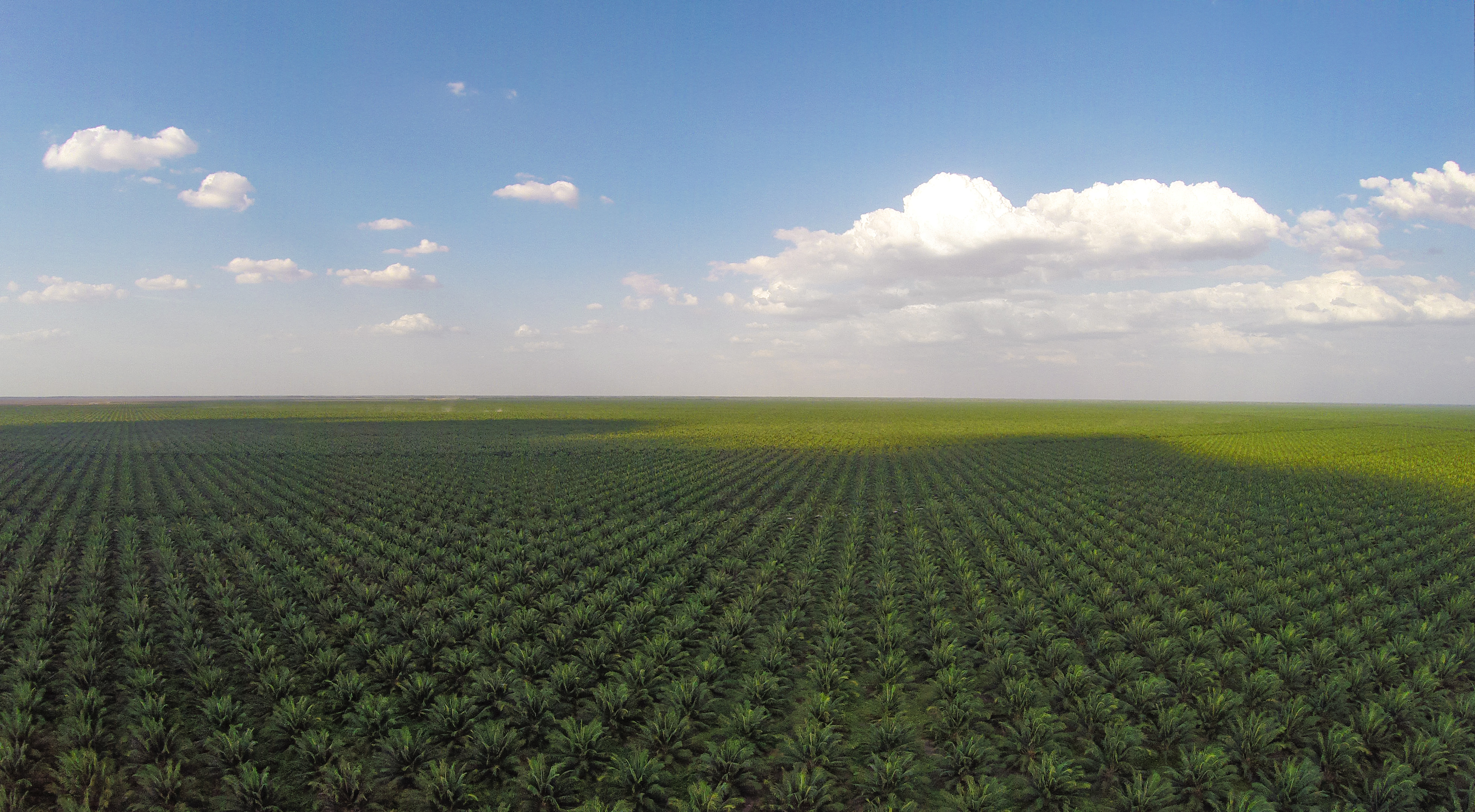 ALTAMIRA_CAMPO_AEREAS_016